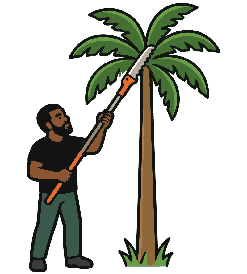 Palm Trimming GG Home Lawns - G&G Home Lawns Palm Trimming GG Home Lawns